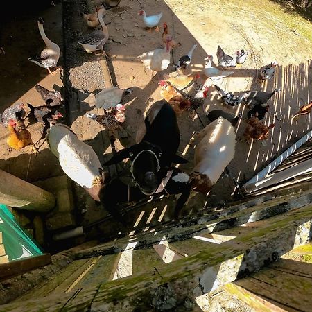 Saira Recanto De Serra Mulungu  Exteriér fotografie